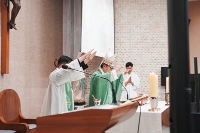 사진